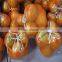 2016 new crop fresh pomelo