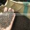 VIETNAM BLACK PEPPER 500G/L FAQ GOOD PACKAGING (skype: visimex08)