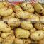 High Quality Fresh Potato Price Per Ton from China