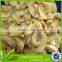 canned mushroom piece, chinese mushroom, canned mushrooms for sale