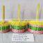 Easter/Spring Bamboo Basket Lined with Colorful Feather