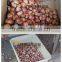 Industrial Shallot Peeling Machine, Shallot Skinner Machine, Shallot Skin Removing Machine With CE Approved