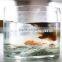 organic fish fertilizer