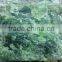 Best Quality ROUGH NEPHRITE JADE