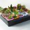 Plastic Raised Garden Bed