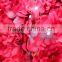 Easy carry newest rose flower wall for decoration in factory price