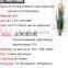 Wholesale Artificial Grass Synthetic Potted Grass Onion Grass with Bulrush