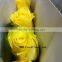 Air clean desert roses kenya flowers exporters fresh cut flowers with 20 stems/bundle