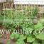 bamboo garden trellis for plant&decoration