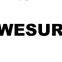 Fuzhou Wesur Digtal Technology Co.,Ltd