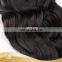 hot beauty new arrival Italian wave water wave top grade human hair extensions