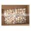 Hot Sale Frozen Scallop Meat Dried Scallop Meat