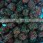 IQF Frozen Blackberry with BRC HACCP Certificates