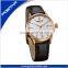 Superior Big Watch Champagne Watch Japan Movement Quartz Watch