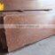 Natural High Grade Polished G683 Granite Slabs