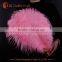 CHINA HX wholesale colored ostrich feathers for sale