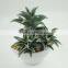 Synthetic artificial succulent plant, simulational succulent plant for wholesale