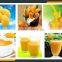 Leader mango barking stoning and beating machine for juice