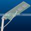 - 2015 best selling 100W solar led street light,solar garden led light manufacture