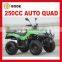 ATV 250CC QUAD(MC-353)