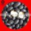 New Crop Easy Cooking Black Kidney Beans (Black Turtle Beans)