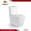 china supplier bathroom design Ceramic washdown two piece toilet