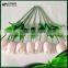 China Artificial Garden Flowers Artificial Tulip