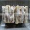 frozen illex roe squid argentina raw material