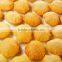 pani puri extruder machin