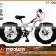 2015 20 inches 7 sp new style kids beach bike fat bike fat tyre bike snow bike ( FT-20003)