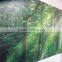 environmentally friendly UV printed ten years color last natural secenery mural wallpaper