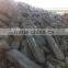 Anode Remnants