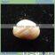 Tumbled pebble/Tumbled river stone