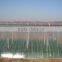 professional super transparent soft plastic PE protection greenhouse plastic film
