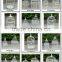 Antique White Metal Bird Cage For Home/Wedding Decoration PL08-5859
