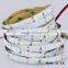 2 Years Warranty 24V Epistar SMD 2835 Led Strip                        
                                                Quality Choice