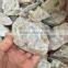 Natural Rock Crystalloid Crystals Rough Stones