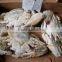 Whole frozen blue swimming crab