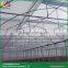 Large Sawtooth type clear plastic for greenhouse inflatable greenhouse