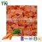 TTN Dried Carrot