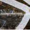 CLEAR PVC VINYL TARPS 18 OZ. 20 MIL THICK,05' x 07' Clear PVC Vinyl Tarp (Finished Size 4'6" x 6'6")