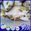 fresh white pomfret fish whole round on sale