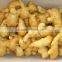 China Ginger Factory/low Price