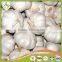 4cm 5cm 5.5cm 6cm Normal White Pure White Fresh Garlic