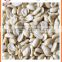 Split tasty good healthy nut snacks blanched peanut in two types shape with lowest price