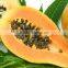 Sale High germination Chaenomeles sinensis seeds papaya seeds fruit tree seeds for planting