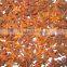 VIETNAM STAR ANISEED Without Stem (AUTUMN CROP)