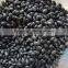 Broad green beans for hot sale and broad beans with free sample for sale