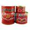 400g Canned Tomato Paste Tomato Ketchup Tomato Ketchup Powder