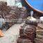 CASSIA/ CINNAMON POWDER
